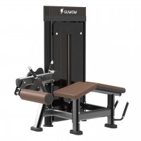 Hot Selling Factory Direct Commercial Fitness Equipment Dual-Function Biceps Curl/Triceps Extension Steel Pin-Loaded Safety